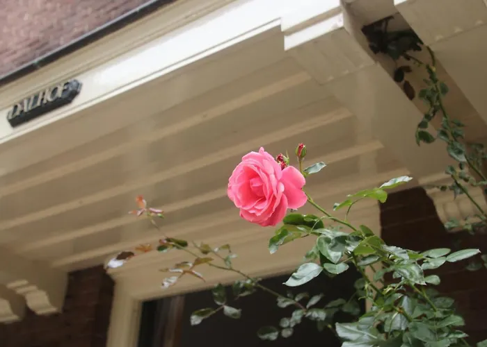 Dalhof * Berg en Dal